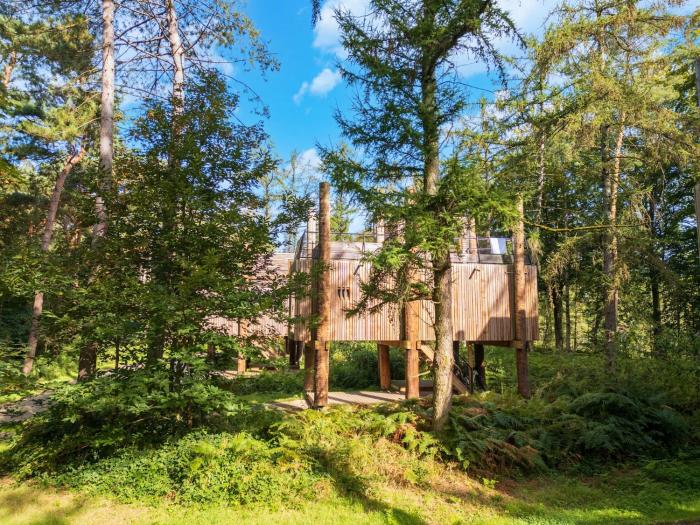 Award-Winning Forest Stay