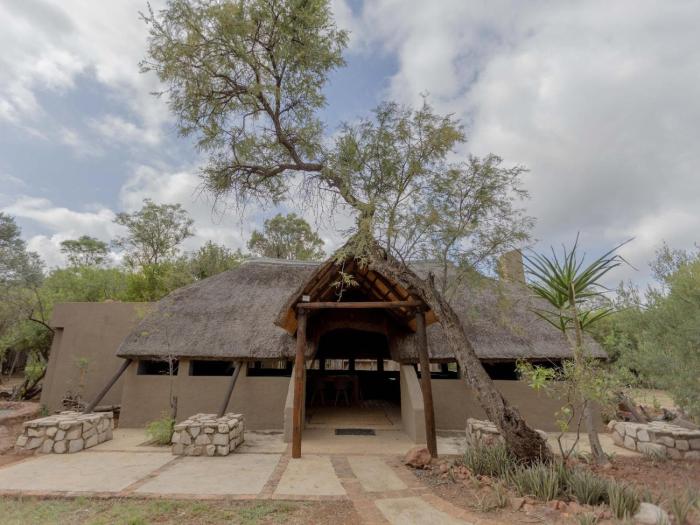 Amys Camp at the Kevin Richardson Foundation