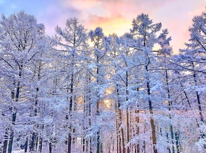 Resort Project Myoko Kogen Hot Spring