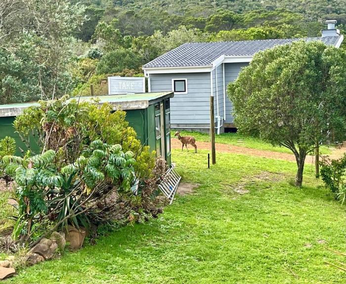 Bushbuck Farm Eco-Retreat