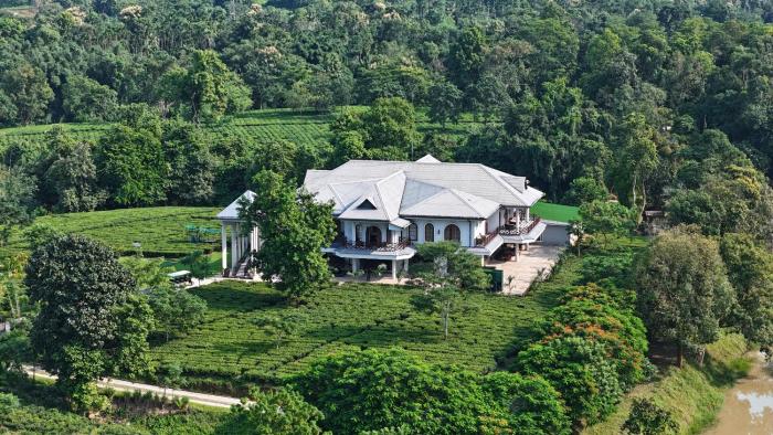 Vaani Greens Wildlife Resort, Kaziranga