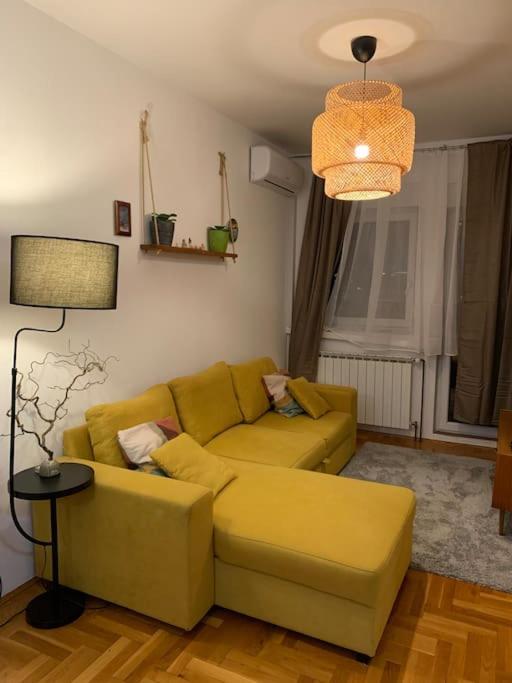 Cozy 1-bedroom apartment- SOFI