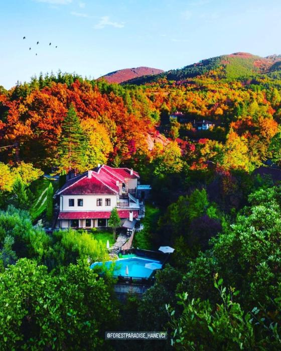Forest Paradise Hanevci