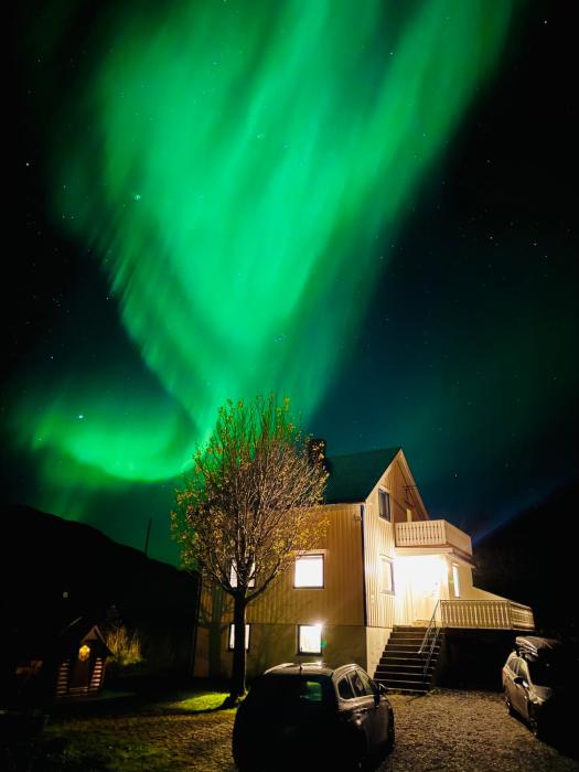 Enebolig med Eventyrlig beliggenhet like ved sjøen i Lofoten