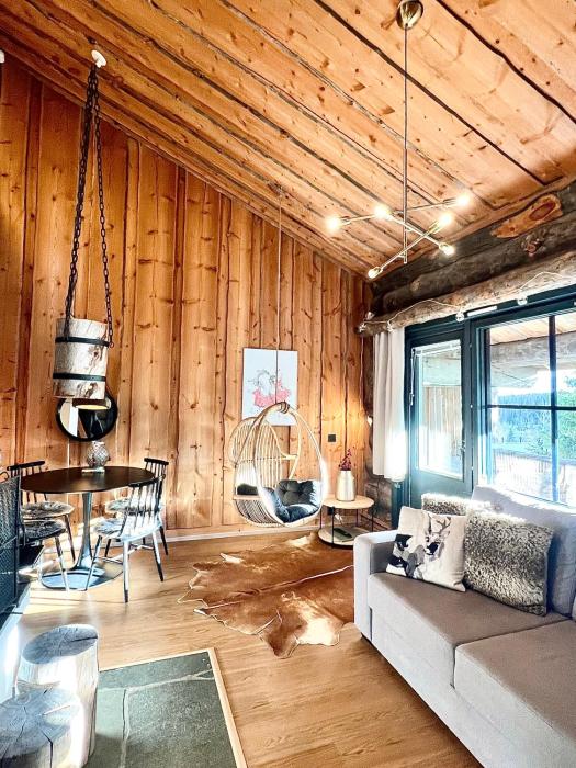 Aurora by the Slopes, views, ski in, hike & xc-ski trails - Lapland Villas