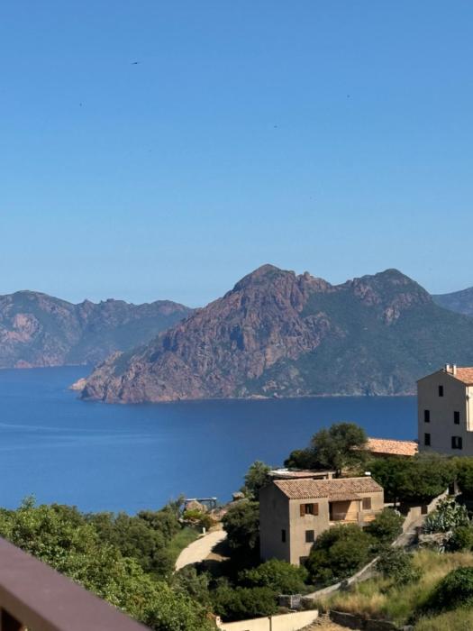 T3 de standing à Piana