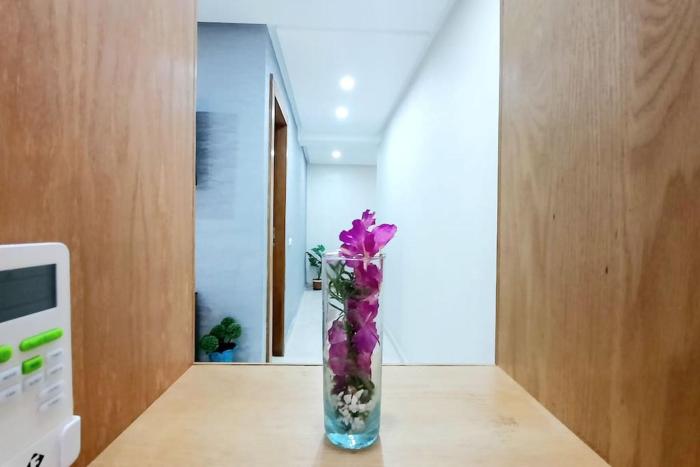 Appartement meublé centre Mimosa