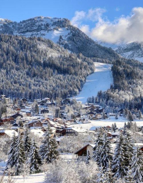 studio station des carroz darraches