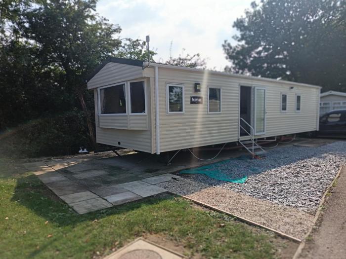 Mallard at Carlton meres