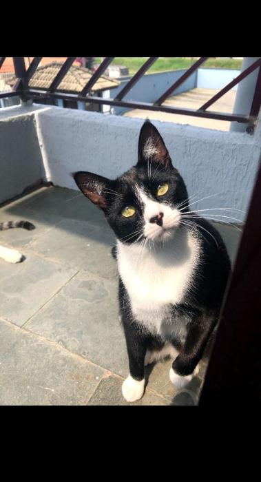 Férias Caraguatatuba