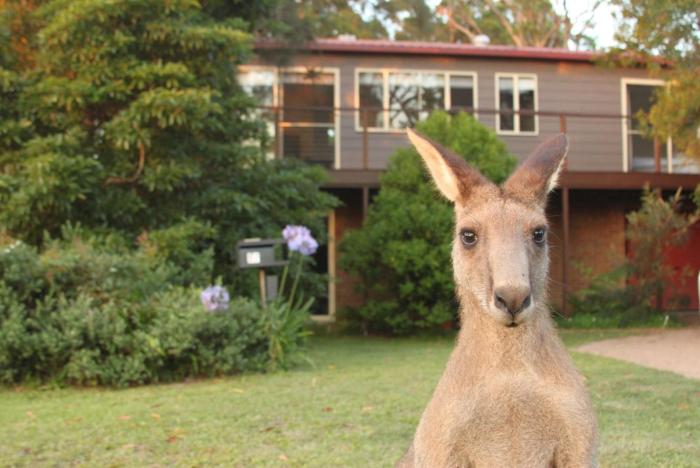 Jans Retreat by Experience Jervis Bay