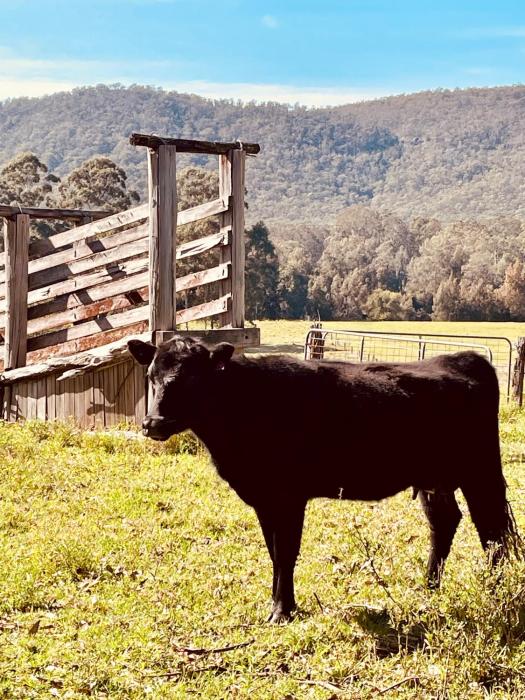 Peppercorns Riverside Farm Stay