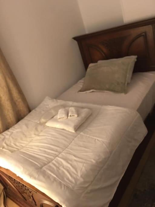 2BR Apt in Nasr City Near downtown