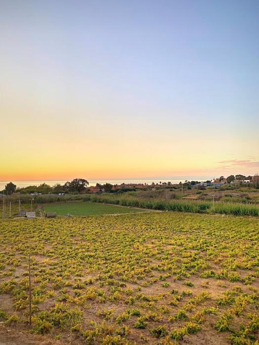 Vineyard Shores - Manilva