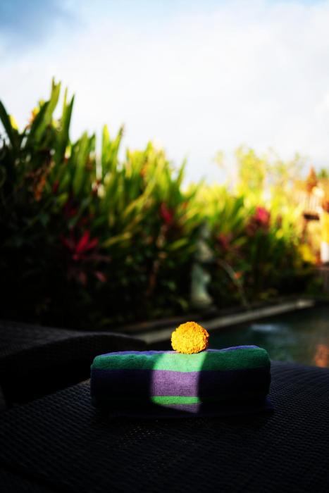 Panorama Paddy Paradise