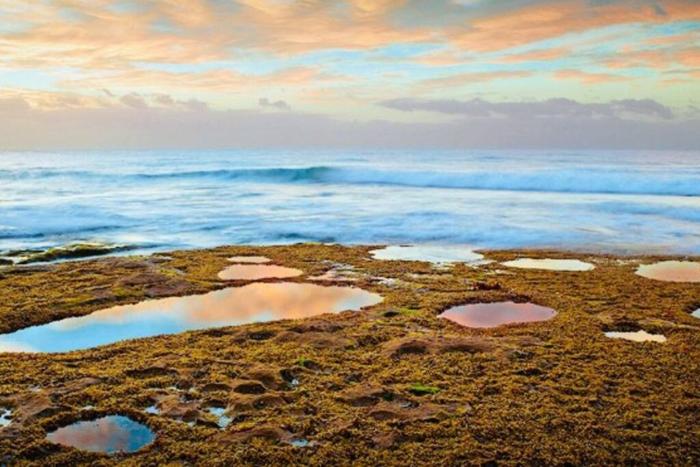 Point Roadknight with ocean and tree views Anglesea
