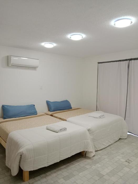 Hostal Dream gunther