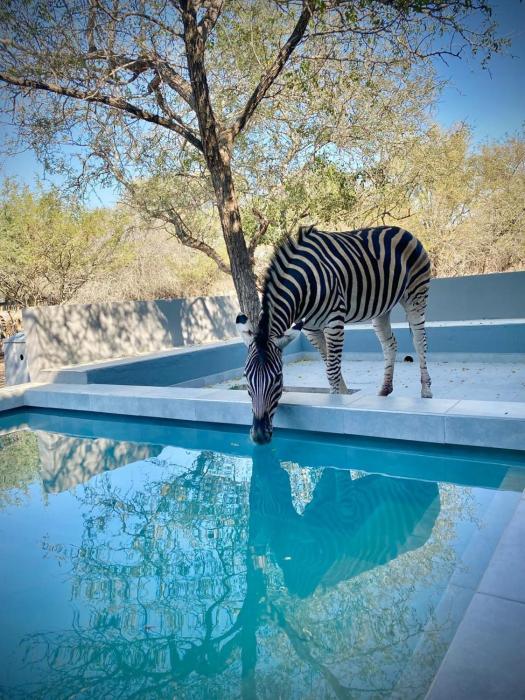 Krugers elegant escape The Kop