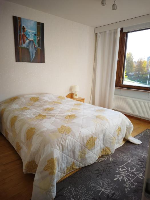 Skandinavisen taiteilijan 2 h huoneisto 2