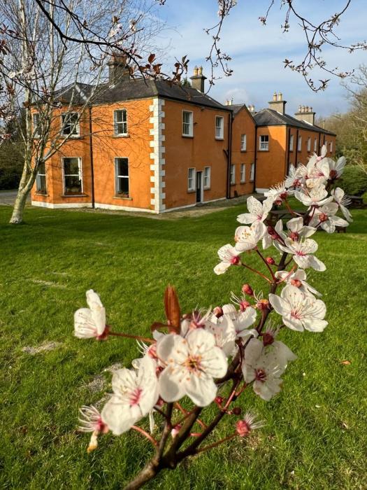 Clone House Event Villa