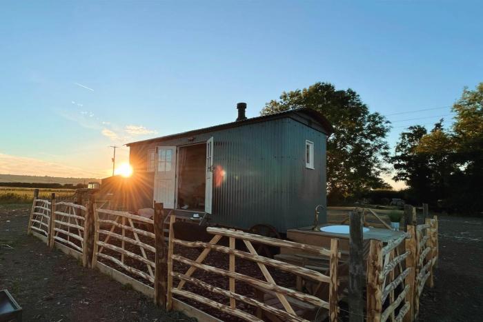 The Romney by Bloom Stays