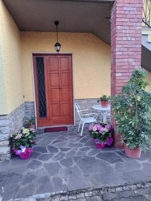 Casa gatta rossa orange cat house