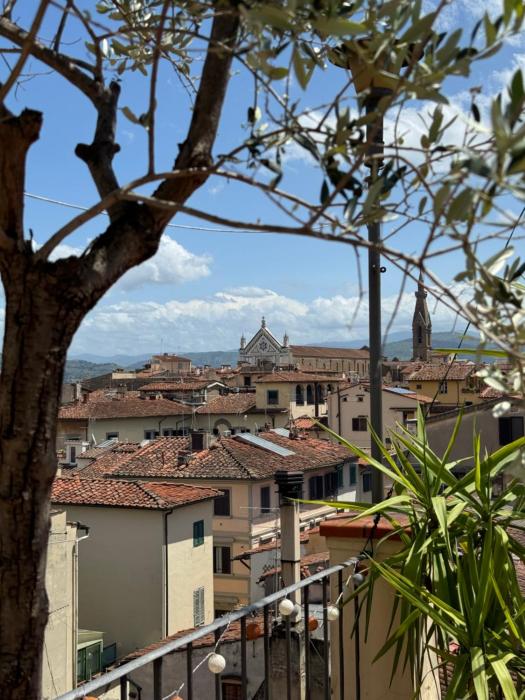 Firenze panorama Suite & terrace