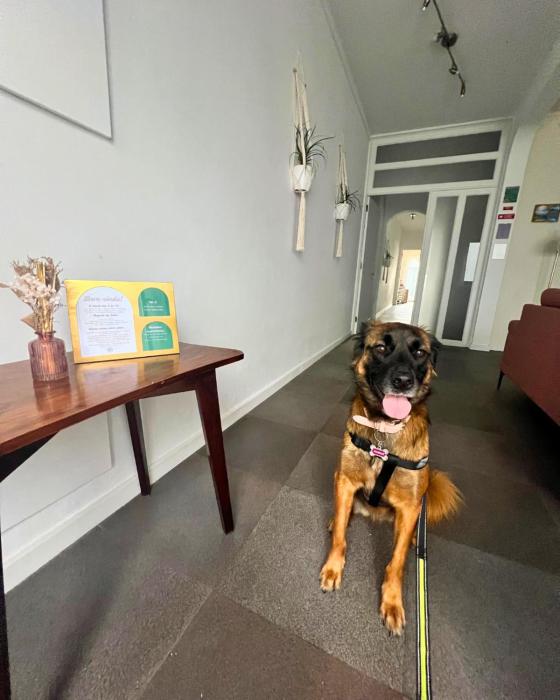 Vagabond Mermaid Guesthouse