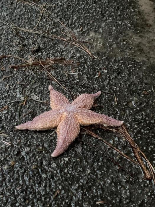 Ferienwohnung-Arp-1-22