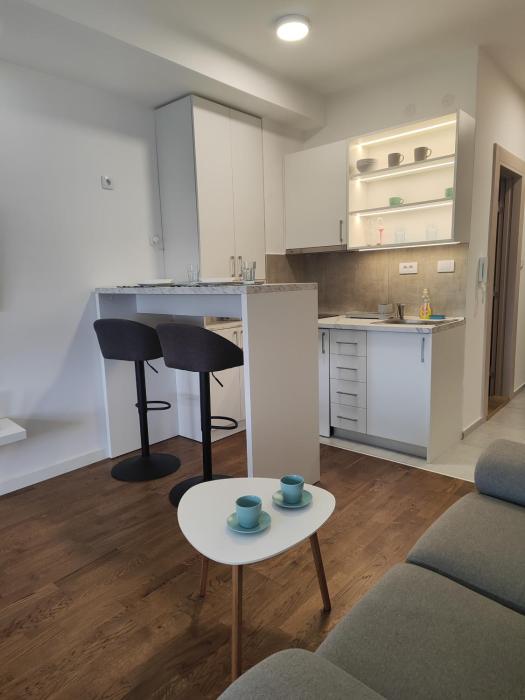 Djokic studio Novi Bubanj