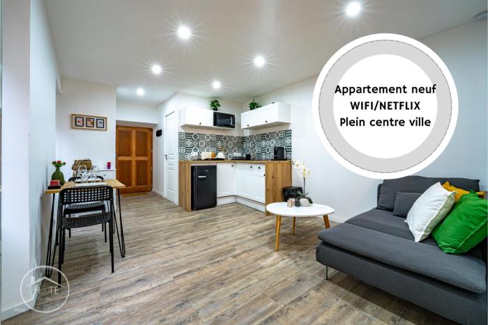 T1 bis tout confort centre historique