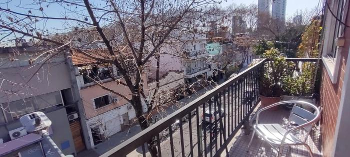 palermo soho plaza william Morris