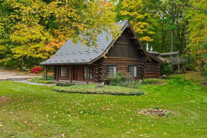 Forest Hideaway