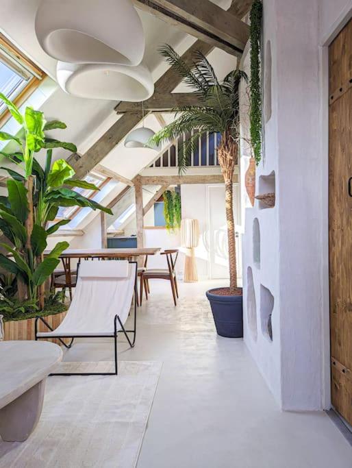 Jungles Tours Une Oasis en Plein Cœur de la Ville