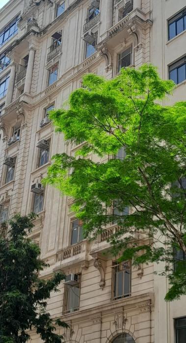 Excelente apê Centro SP - Tudo a pé