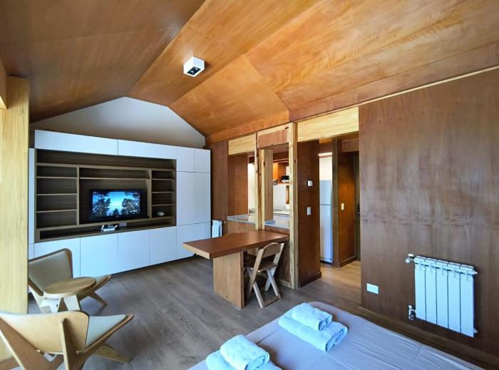 COIHUE ll, Moderno Monoambiente