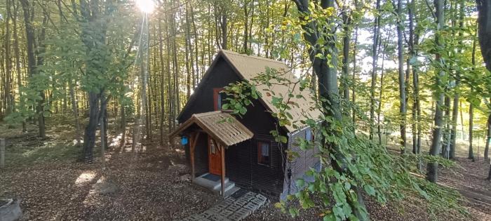 Darázshegyi Faház gluténmentes ellátással