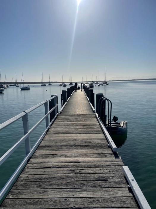 Paws and Pause at The Bay
