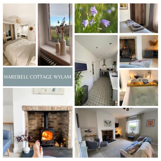 Harebell Cottage in Wylam Village Sleeps 4