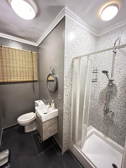 Zamalek hotel apartment 2BR