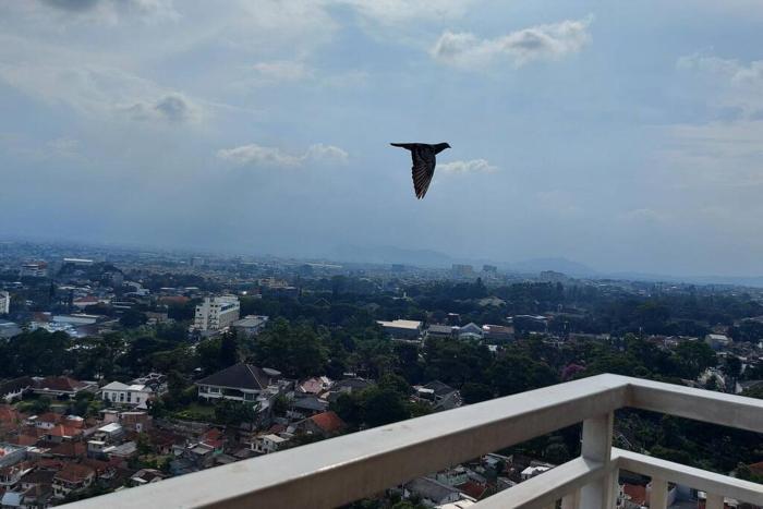 PaRes Apt 2BR Unit 2 by eRJe