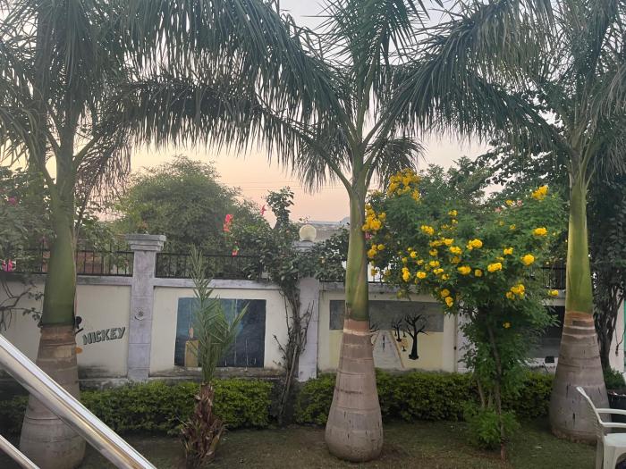 Sunrise Bed & Breakfast