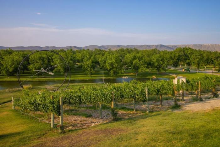 Pueblo Vinícola Parvada by Lumina