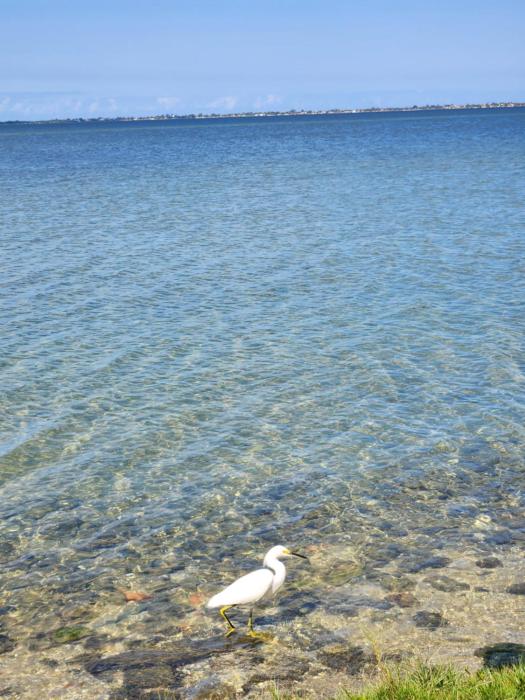 casa na praia do gavião araruama