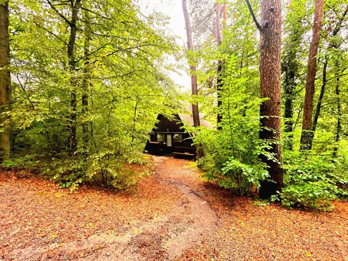 Boshuisje Viva lArdenne - Chalet 122