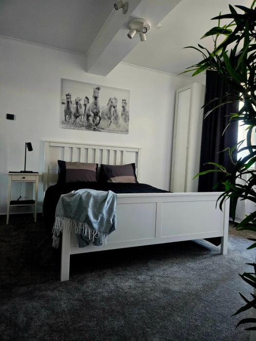 Home Studio Cismigiu