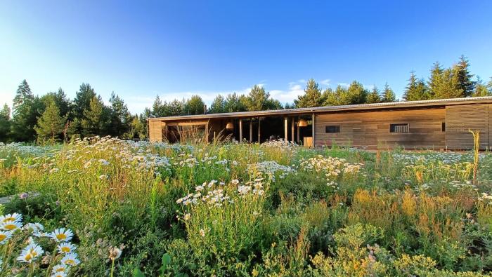 A country house with horses