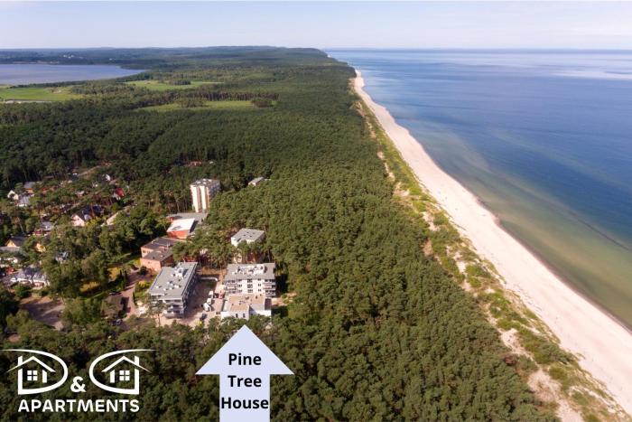 Pine Tree House 7 D&D Apartments