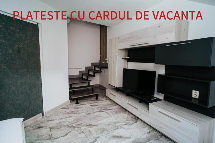 Apartment Attic