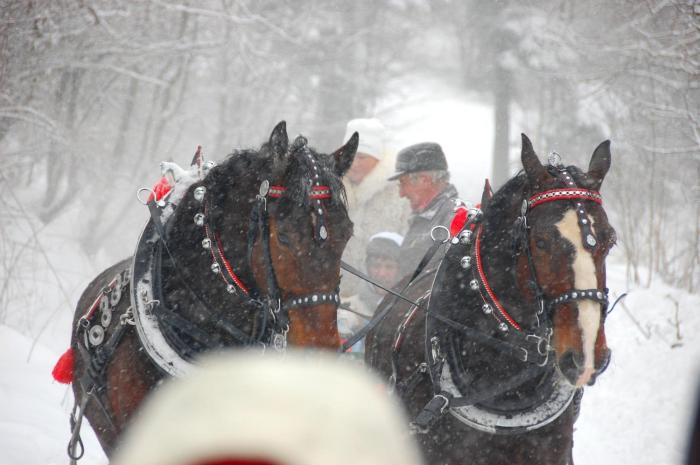 Koperkowe Rancho Beskid Wyspowy Domek Małopolskie KAMIONNA